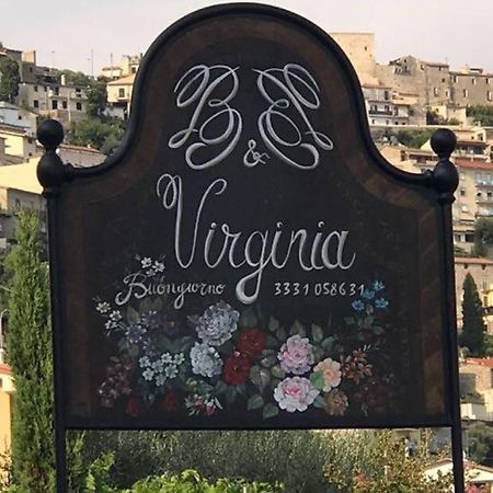 B&B Virginia Monte San Biagio Buitenkant foto